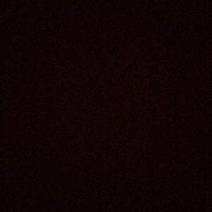 Meet your Posher, Audrey